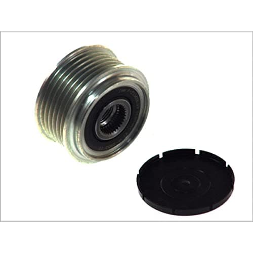 Image of INA Alternator Freewheel Clutch 535009810