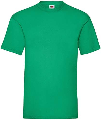 Image of Fruit of the Loom Men's Valueweight Short Sleeve T-Shirt, Kelly Green, Medium
