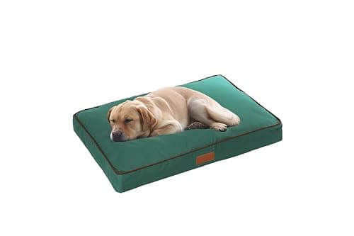 Image of Ellie-Bo Small High-Density Orthopaedic Foam Dog Bed for 24-inch Dog Cage/Crate - Green Water Resistant