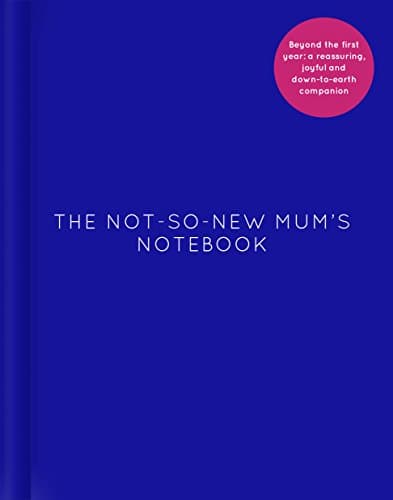 Image of The Not-So-New Mum’s Notebook