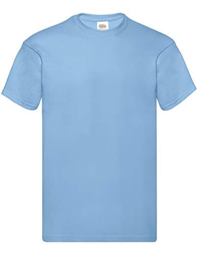 Image of Fruit of the Loom Mens Screen Stars Original Full Cut Short Sleeve T-Shirt (L) (Sky Blue)