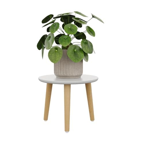 Image of Bamworld Plant Stand Indoor Small Plant Table for Large Plants Wooden Plant Stool Tall Plant Holder for Living Room Bedroom Balcony White
