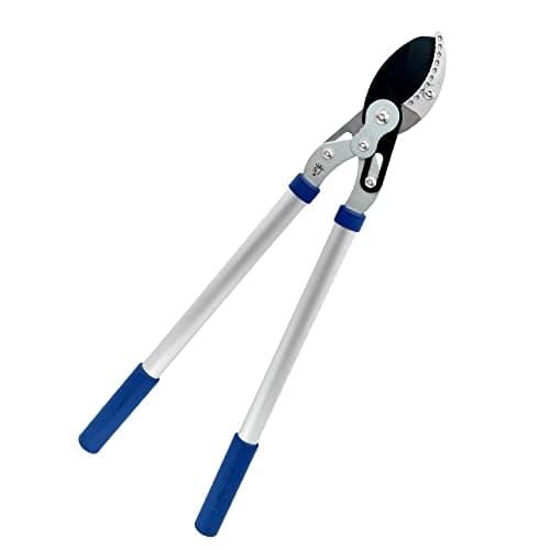 Image of Spear & Jackson 8041RS 28" Dual Compound Anvil Lopper