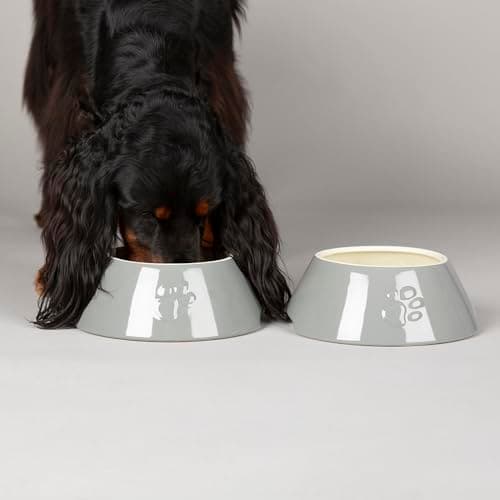 Image of Scruffs Classic 2 Piece Long Eared Dog Food & Water Bowl - Grey