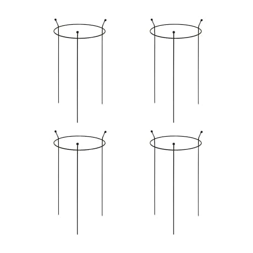 Image of 4 Pack of Small 60cm x 35cm Heavy Duty Black Steel Herbaceous Garden Plant Support Ring