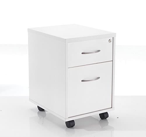 Image of Rainbow Zebra White Mobile Office Pedestal (2 Drawer)