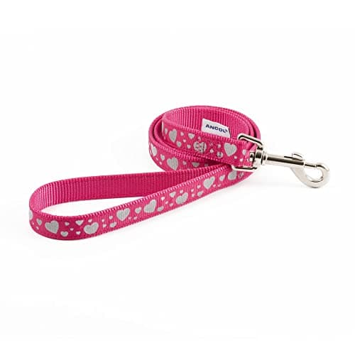 Image of Ancol Patterned Collection Daisy Dog Lead - Pink - Hardwearing Nylon Puppy Walking Accessory with Reflective Design - 1m x 19mm