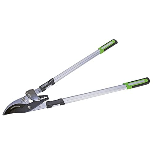 Image of Draper Expert 750mm Ratchet Bypass Pattern Loppers |Long Reach Garden Tool|40mm Pruning Gardening Hand Tools |Heavy Duty Garden Cutting Tool | Carbon Steel Blades | 94985