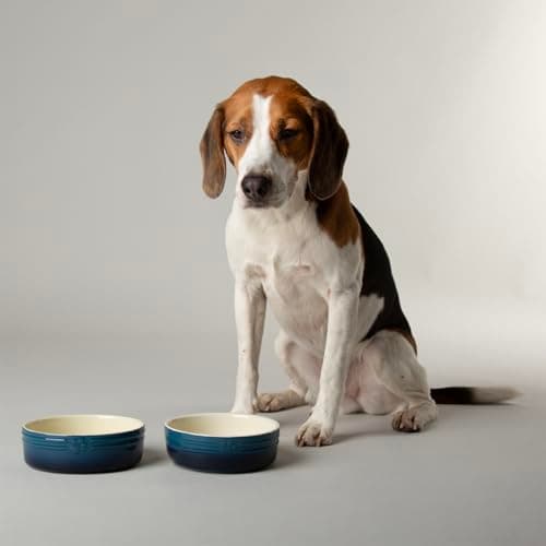 Image of Scruffs Ombre 2pc Ceramic Dog Bowl Set - Blue 15cm