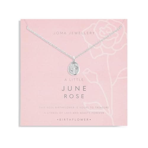 Image of Joma Jewellery BIRTHFLOWER A LITTLE NECKLACE | JUNE Silver Plated Necklace 46cm with 5cm extender