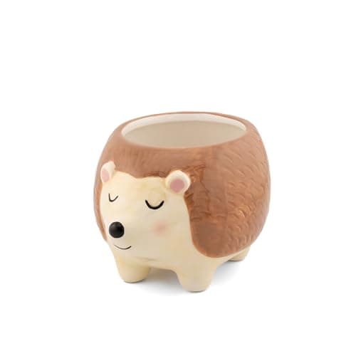 Image of Sass & Belle Hedgehog Planter - Indoor Plant Pot, Animal Design for Cactus or Succulent, Ceramic Planter for Home Décor, Flower Pot Designed by Sass and Belle