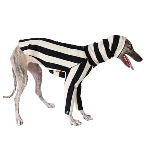 Image of Italian Greyhound Whippet Knit Jumper,Dog Black White Stripes Turtleneck Sweatshirt Sighthounds Autumn Winter Spring Coat Skinny Dog Pullover Pajamas_S