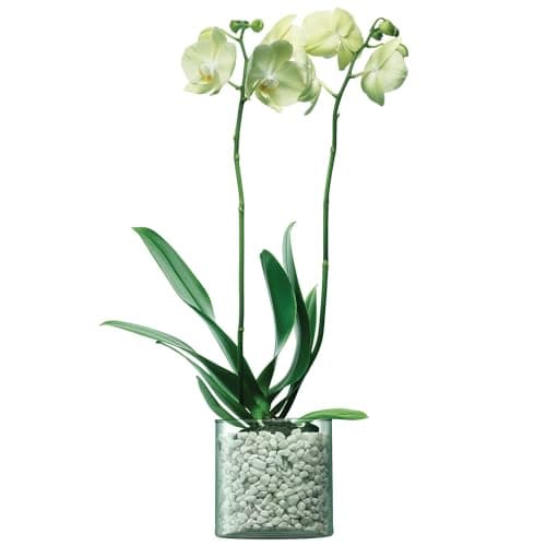 Image of LSA Canopy Recycled Planter