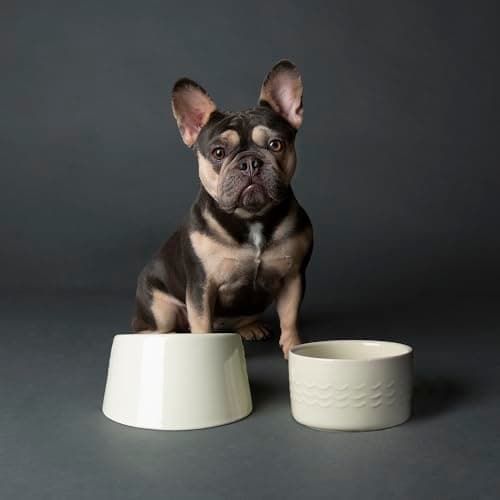 Image of Scruffs Icon 2 Piece Flat Faced Dog Bowl & Water Bowl - 20cm | 18cm - Cream