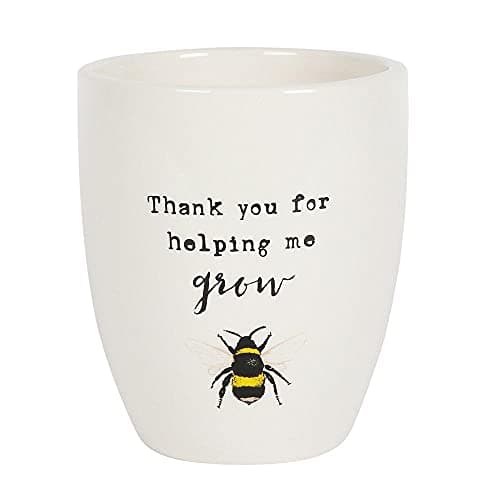 Image of Charming "Thank You For Helping Me Grow" Ceramic Plant Pot - 13cm x 11cm (1 Pc.) - Adorable Bee Illustration, Sweet Appreciation Text - Perfect for Gifting to Teachers or Brightening Someone's Day