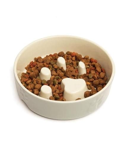 Image of Scruffs Icon Slow Feeder Cream Pet Bowl 20cm CREAM