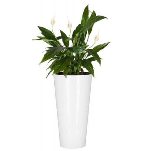 Image of B2C Planter Plant Pot Flowerpot White Glossy Tubus Outdoor Garden Balcony Indoor Modern Tall Shiny Modern (H 57.2cm x D 30cm)