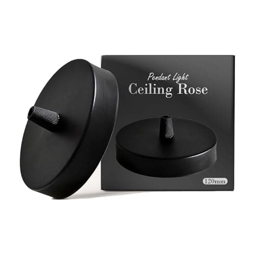 Image of Ceiling Rose Black 120mm Side Fitting One Outlet 25mm Height Matte Finish Durable Steel Modern Ceiling Light Accessory Pendant Lighting Cover Plate Canopy for Minimalist Industrial Home Interiors