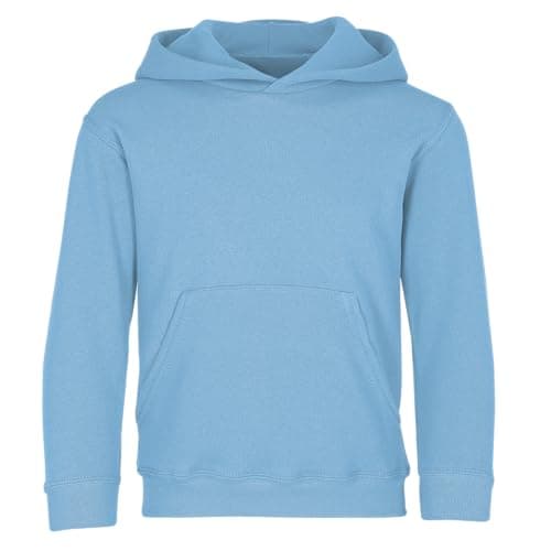 Image of Fruit Of The Loom Childrens Unisex Hooded Sweatshirt / Hoodie (9-11) (Sky Blue)