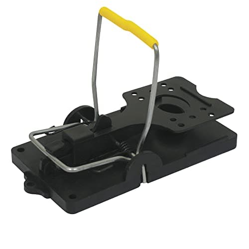 Image of The Big Cheese Rat Trap (Twinpack) - Rat Traps That Kills Instantly, Rat Killer, Multicolour