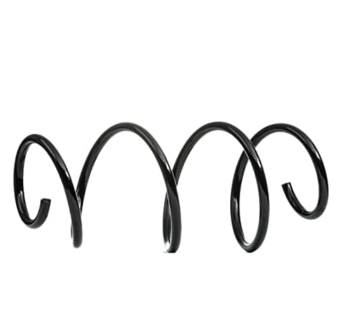 Image of KYB Front Coil Spring RA4116