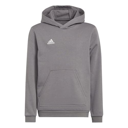 Image of adidas Unisex Kids Entrada 22 Sweat Hoodie, Team Grey Four, 7-8 Years