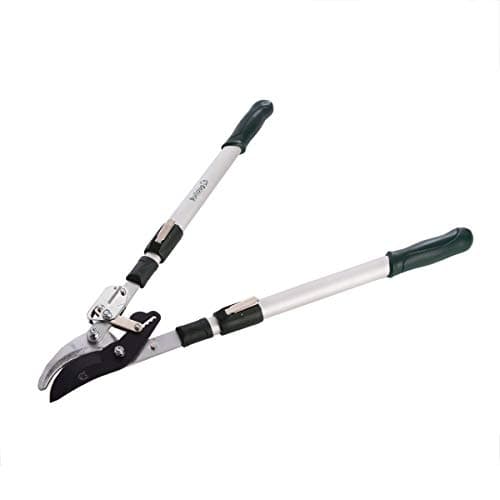 Image of Bulldog BD3110TA Premier Bypass Ratchet Lopping Shears