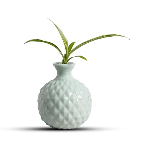 Image of Small Ceramic Vase for Flowers, Handmade Decorative for Living Room, Dried Flower, Home, Shelf, Wedding Dinner Table Centerpiece Decoration (Green)