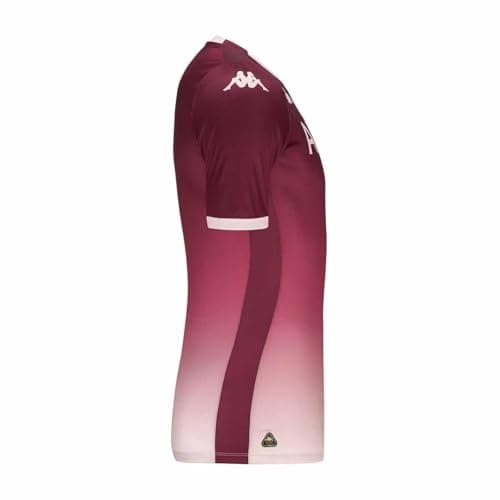 Image of Kappa ABOUPRE PRO 8 UBB ACT Jersey | Brown Bordeaux/Pink Almond | Size 3XL
