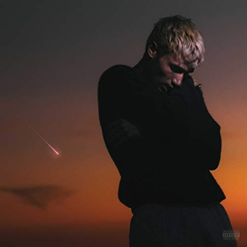 Image of love is not dying [VINYL]