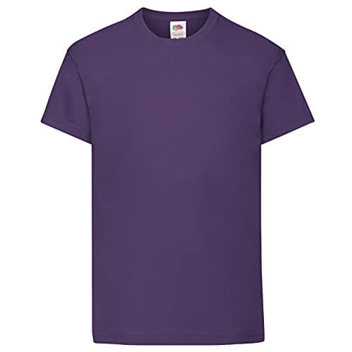 Image of Fruit of the Loom Childrens/Kids Original Short Sleeve T-Shirt (12-13 Years) (Purple)