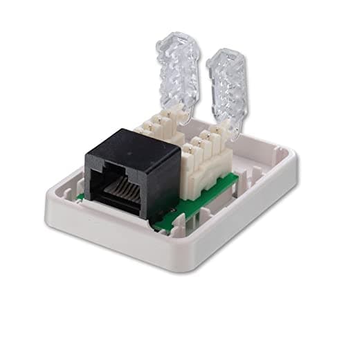 Image of LINDY Toolless CAT6 Surface Mount Box