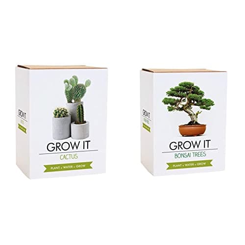 Image of Gift Republic GR200003 : Grow It. Grow Your Own Cactus Plant, Multi & Gift Republic GR200006 : Grow It. Grow Your Own Bonsai Trees, 12.0 cm*12.0 cm*12.0 cm