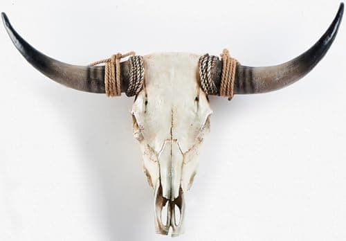 Image of Resin Long Horn Cow Skull Head Wall Hanging Decor, Extra Large Faux Animal Crafts Ornaments with Hanging Hole(G-79 * 62cm/31 * 24in)