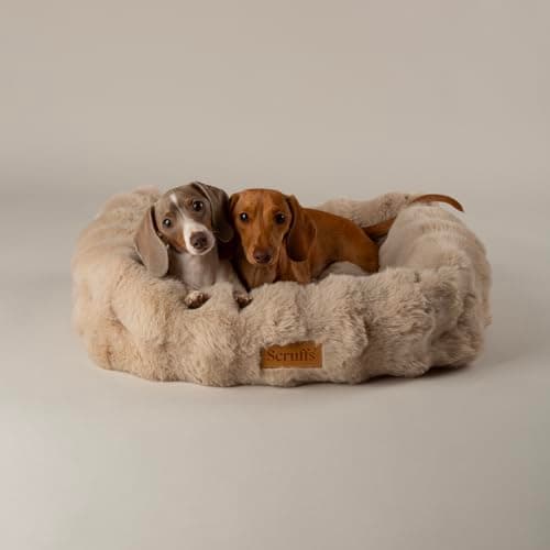 Image of Scruffs Luxury Alpine Box Bed For Dogs or Cats (M)