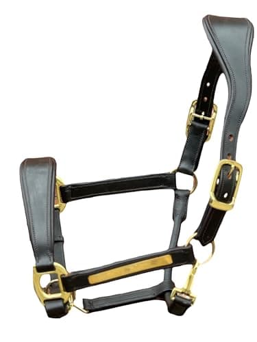 Image of Equipride Anatomical Leather Headcollar, Supersoft Padded, Gold Fittings, Fully Adjustable (Brown, Cob)