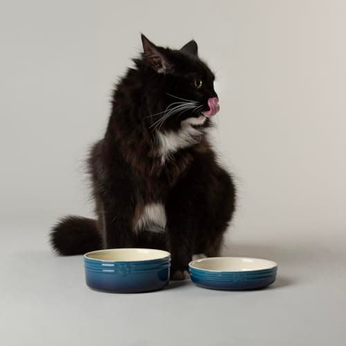 Image of Scruffs Ombre 2pc Cermaic Cat Food & Drink Bowl Set - Blue