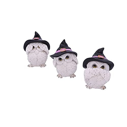 Image of Nemesis Now Three Wise Feathered Familiars Owl Figurine 9cm, White U5736U1