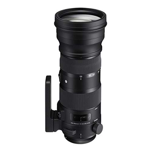 Image of Sigma 150-600 mm F5-6.3 DG OS HSM Sports Lens with TC-1401 Converter Kit for Canon Camera