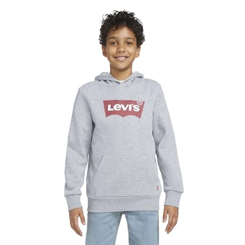 Image of Levi's Kids Batwing Screenprint Hoodie Boys, Grey, 2 Years