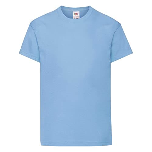 Image of Fruit of the Loom Kid's Original T-Shirt Single Sky Blue