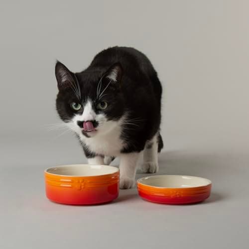 Image of Scruffs Ombre 2pc Cermaic Cat Food & Drink Bowl Set - Orange