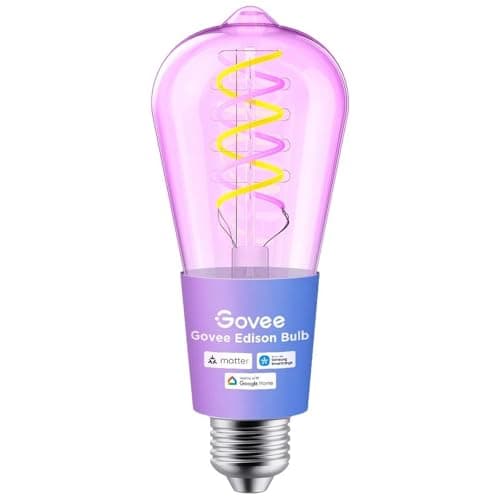Image of Govee Smart Edison Bulb E27, RGBWW LED Lamp ST64, Compatible with Matter and Google Assistant, 500lm, Dimmable Light Bulb for Vintage Decor, 1 Pack