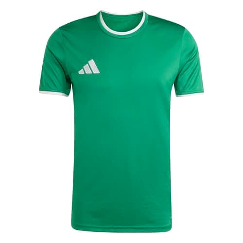 Image of adidas Men's Entrada26 Jersey, Team Green/White, 3XL