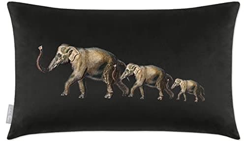 Image of Izabela Peters Cushions With Covers Included, Filled Cushion, Eco-Friendly Velvet Cushions, 50 x 30 cm, Elephants - Charcoal, Chair Cushions, Sofa Cushions, Seat Cushions