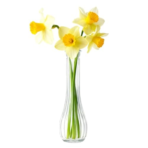 Image of 20cm Tall Glass Flower Vase Narrow Neck Clear Single Stem Vase for Home Table Decor Wedding Centerpiece Office Living Room Decoration
