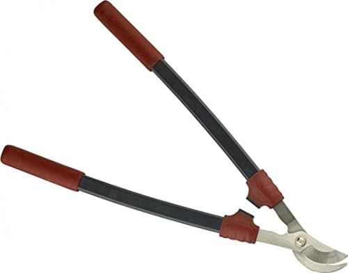 Image of Kent and Stowe Bypass Loppers