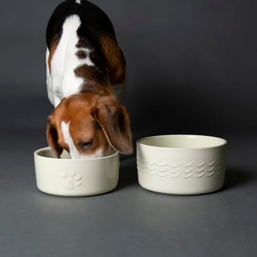 Image of Scruffs Icon 2 Piece Dog Food & Water Bowl Set - 19cm | 20cm - Cream