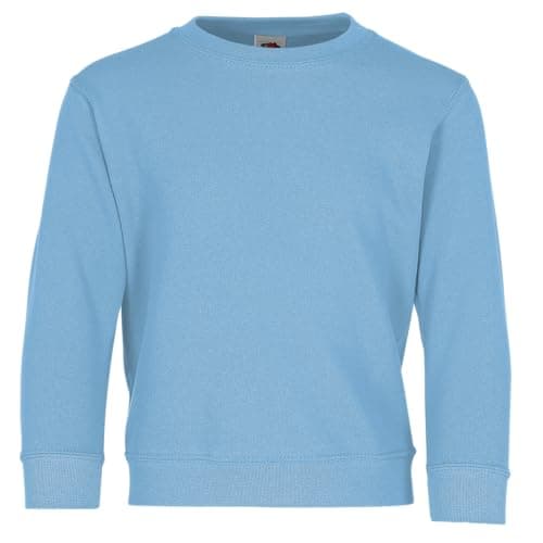 Image of Fruit of the Loom Kids Unisex Classic 80/20 Set-In Sweatshirt (5-6) (Sky Blue)