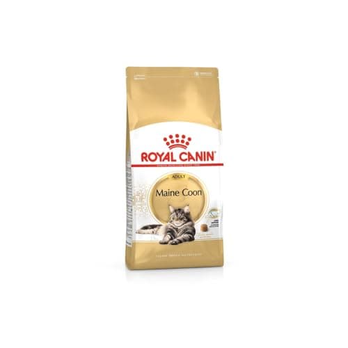 Image of Royal Canin Maine Coon Adult Dry Food 400g